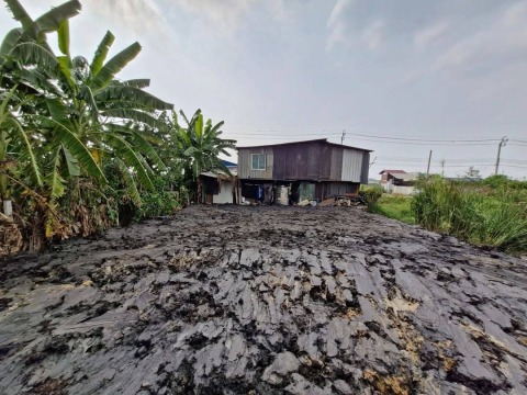 Image - 2025-04-22T135532.977